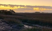 22nd Feb 2022 - Late marsh sunset