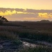 Late marsh sunset by congaree