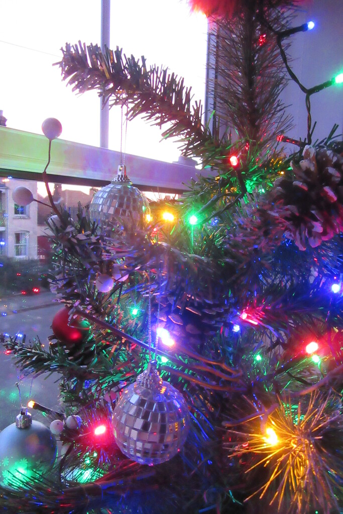 Little Christmas tree by lellie