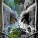 Happy TWOs-day by koalagardens