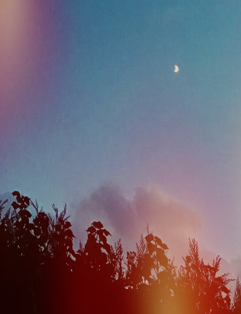 Moon by agnesvanderlindeicloudcom