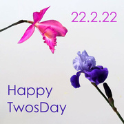 22nd Feb 2022 - Happy TwosDay