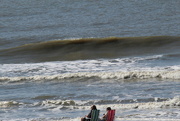 21st Feb 2022 - Feb 21 HHI Sun Seekers IMG_5400 Sitters near confluence A