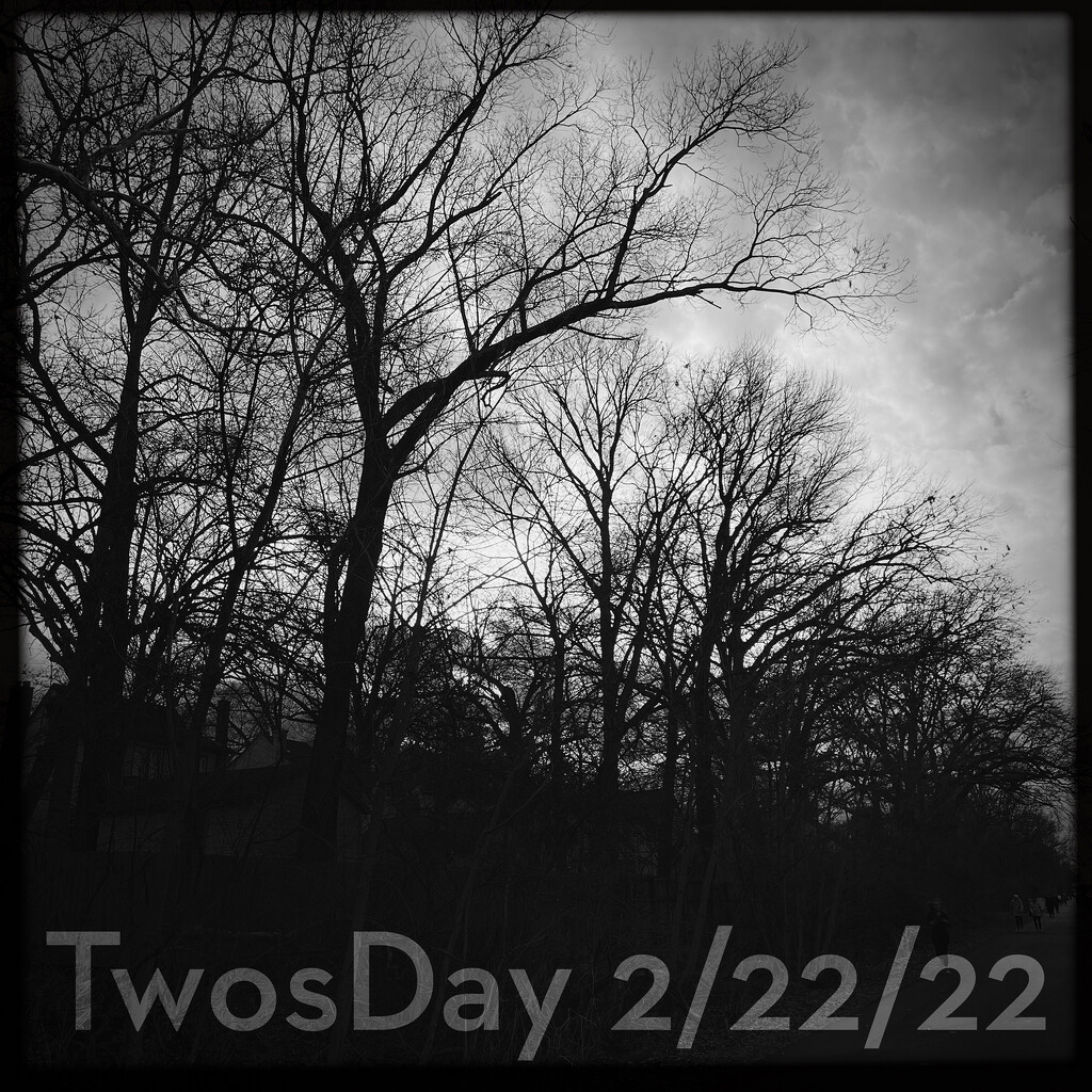 TwosDay | Black & White by yogiw