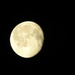 Moon by oldjosh