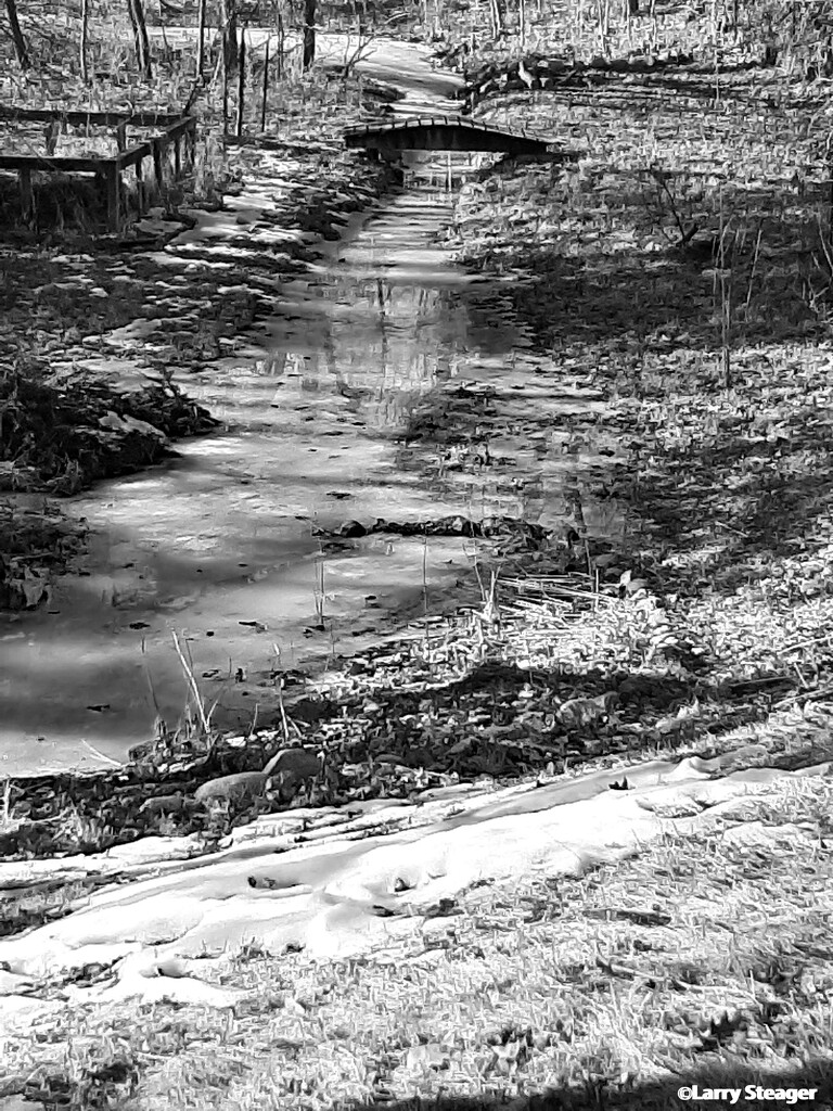 Frozen creek B&W by larrysphotos