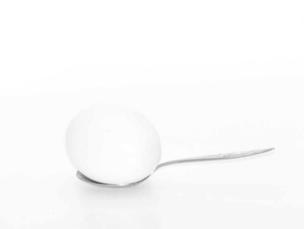 Eggstreme Simplicity by grammyn
