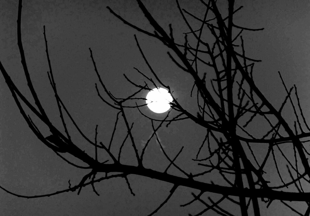 Pick Up Sticks Moon by linnypinny
