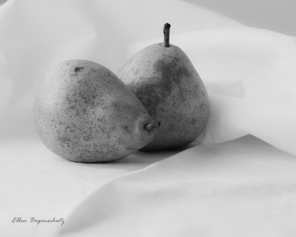 A Pair of Pears Hi- Key B&W by theredcamera