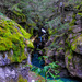 Avalanche Creek by cwbill