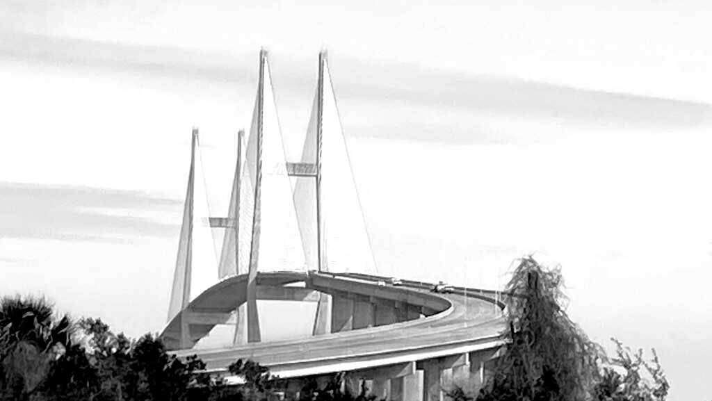 A Georgia Bridge Encounter by taffy