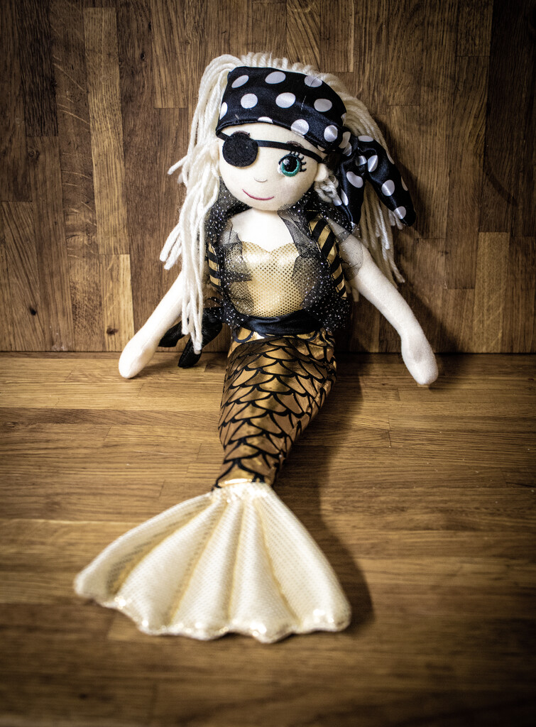 Pirate Mermaid by swillinbillyflynn