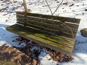 22nd Feb 2022 - Another Mossy Bench