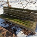 Another Mossy Bench