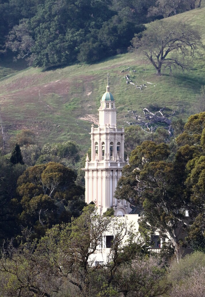 St. Vincent's Chapel Bell Tower Standing Tall Amongst the Trees by markandlinda