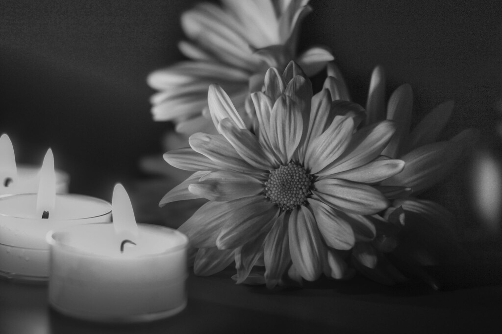 Candles and Flowers by judyc57