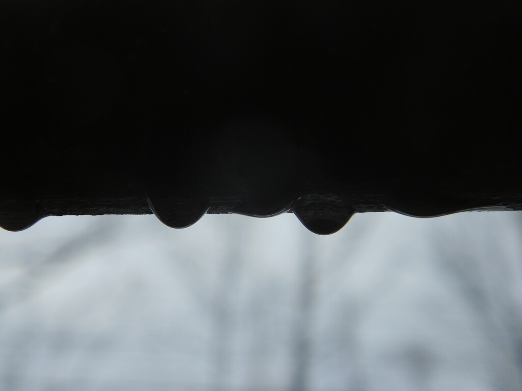 Silhouettes of Raindrops on Railing  by sfeldphotos