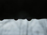 23rd Feb 2022 - Silhouettes of Raindrops on Railing 