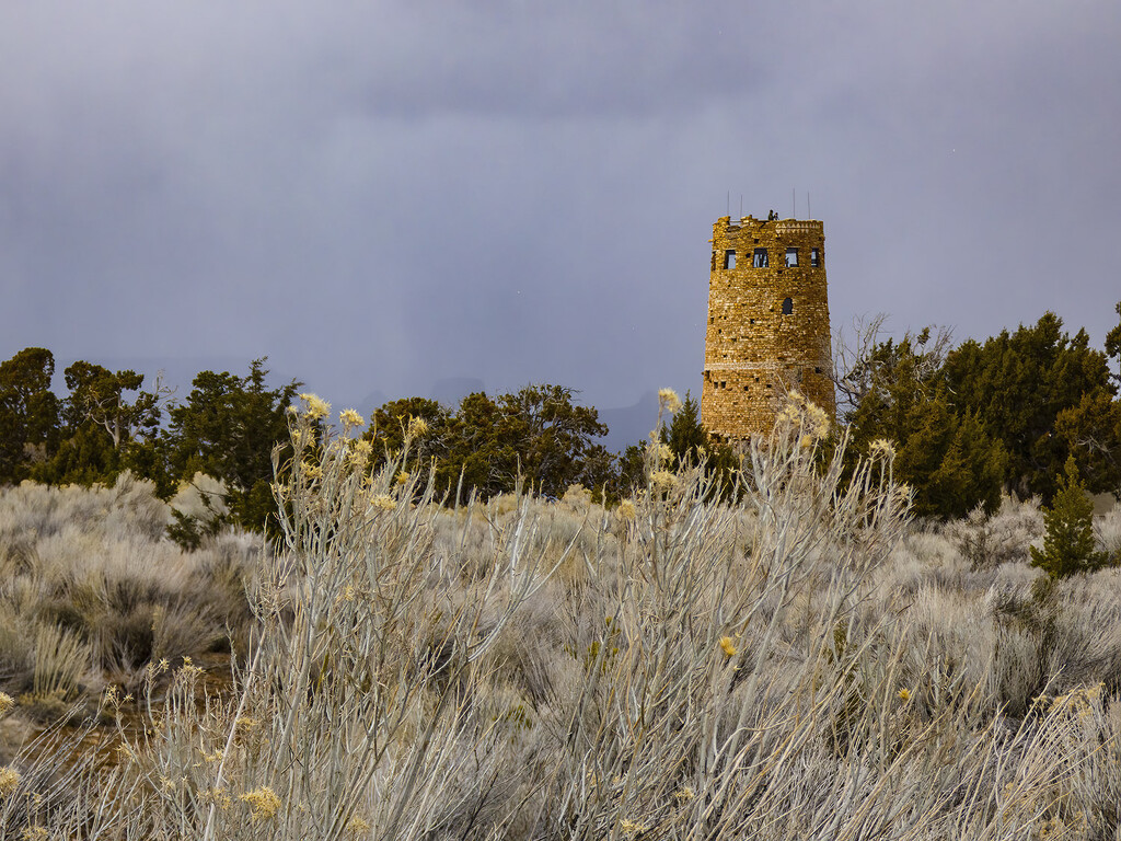 Desert Tower by k9photo