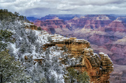 23rd Feb 2022 - Just Down from Mather Point