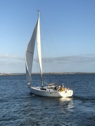 24th Feb 2022 - Sailboat on a beautiful afternoon in Charleston Harbor