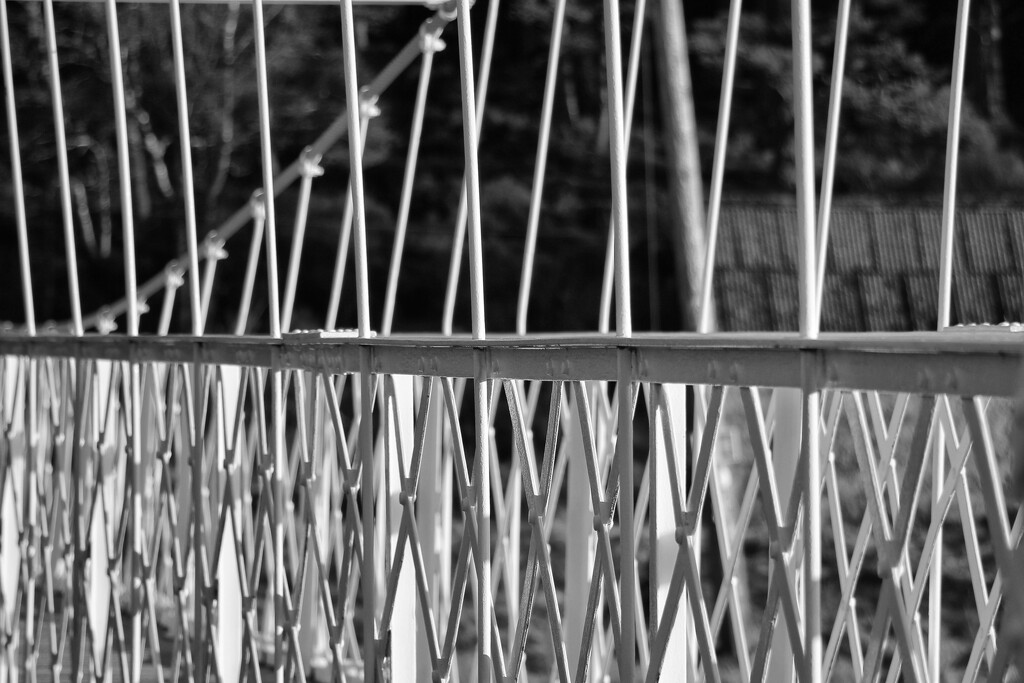 The Many Lines on a Suspension Bridge by jamibann