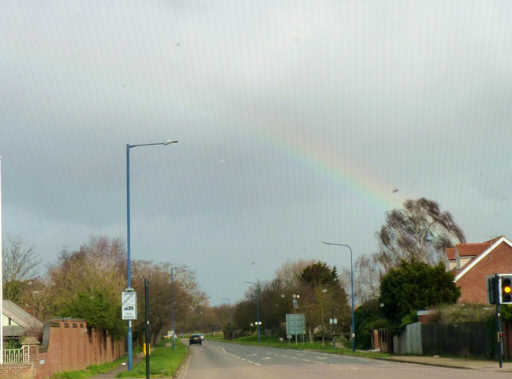 Little bit of rainbow by lellie