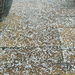 Winter .hailstones by 365projectorgjoworboys