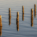 Reflections of a pier gone by  by samae