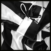 28th Feb 2022 - Striped Shirt | Black & White