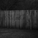Fence line by randystreat