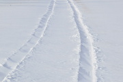 15th Feb 2022 - Snow Tracks