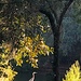 Heron and late afternoon light by congaree