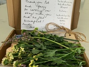 25th Feb 2022 - A lovely thank you!