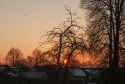25th Feb 2022 - Winter sunrise in warm colors