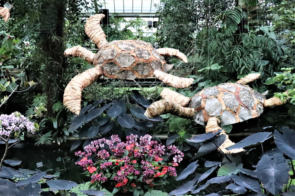 Kew Gardens annual orchid festival is back. Celebrating Costa Rica - including hand made turtles by 365jgh