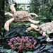 Kew Gardens annual orchid festival is back. Celebrating Costa Rica - including hand made turtles by 365jgh