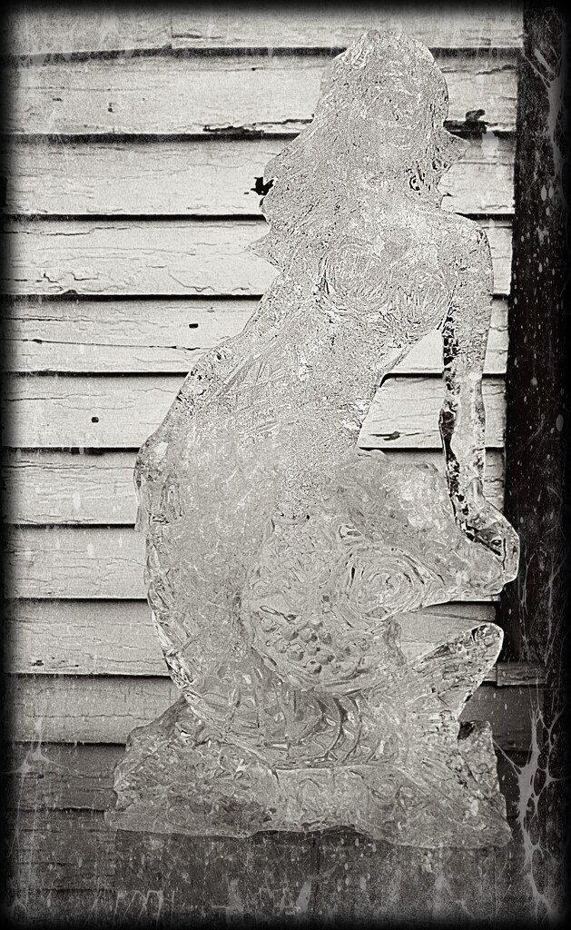 Icy Mermaid by olivetreeann