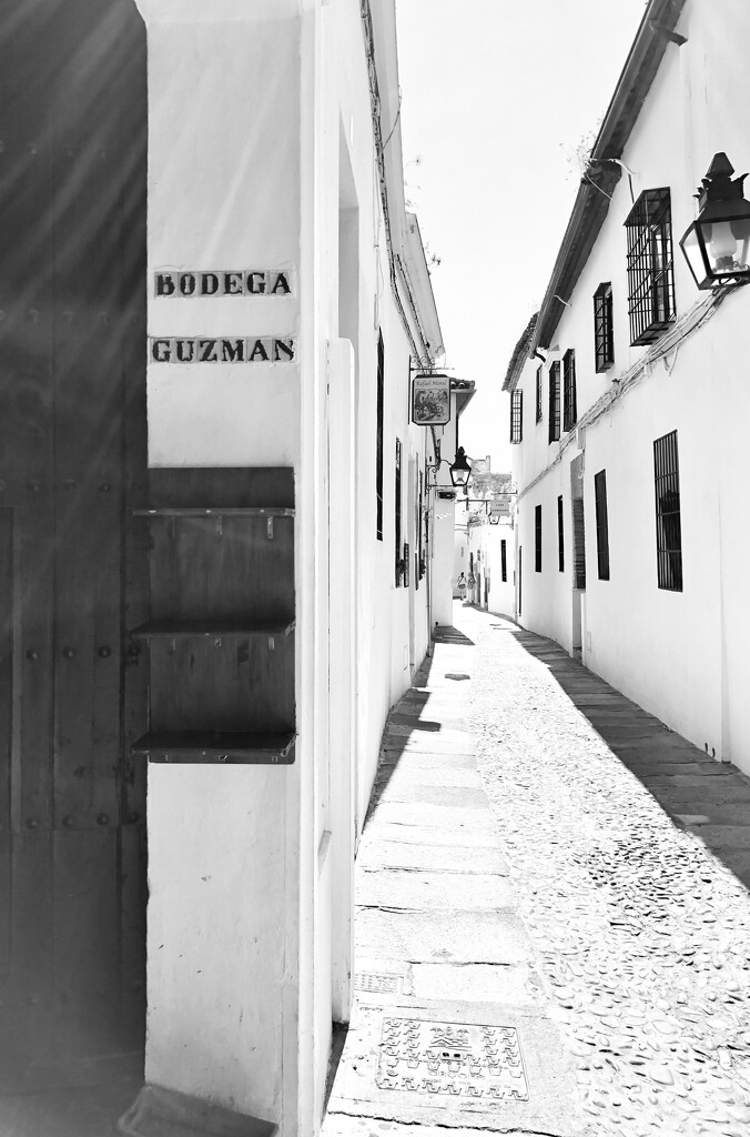 Bodega Guzman  by brigette