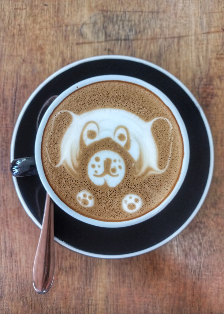 There's a dog in my coffee  by salza