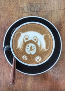 26th Feb 2022 - There's a dog in my coffee 