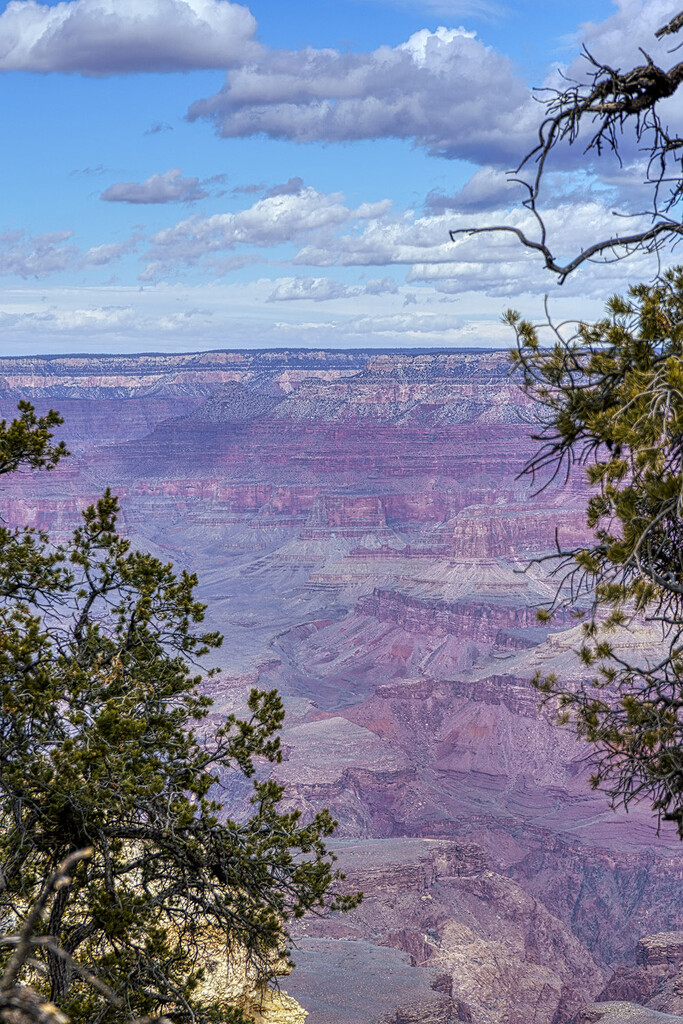 Grand View Near South Kaibab Trailhead by k9photo