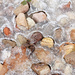 Pebbles in Ice by milaniet