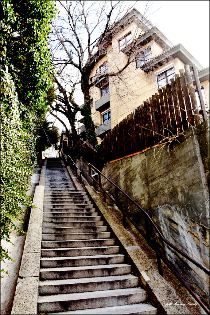 "Walking" the streets of Buda by kork