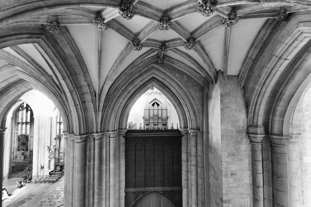 Winchester Cathedral by rumpelstiltskin