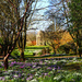Spring Bulb Pageant by phil_sandford