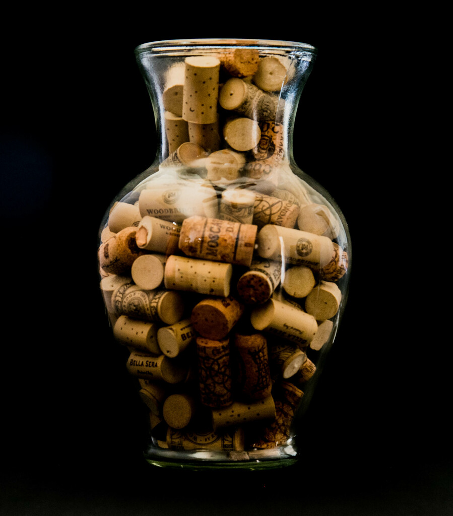Corks  by dkellogg