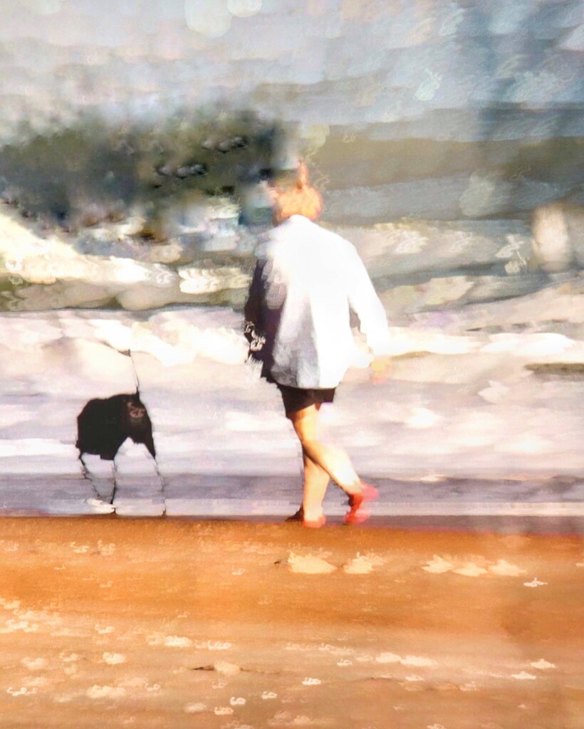 Mrs.Bucket walking her dog.. by joemuli