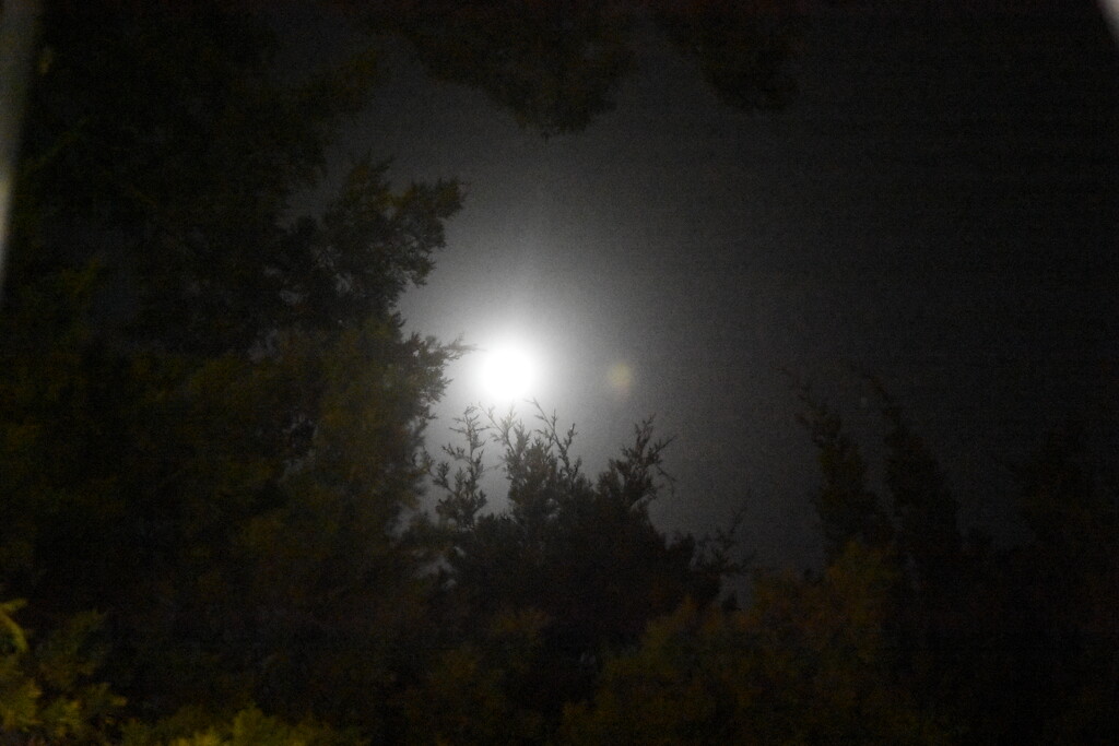 Full moon by kathyrose