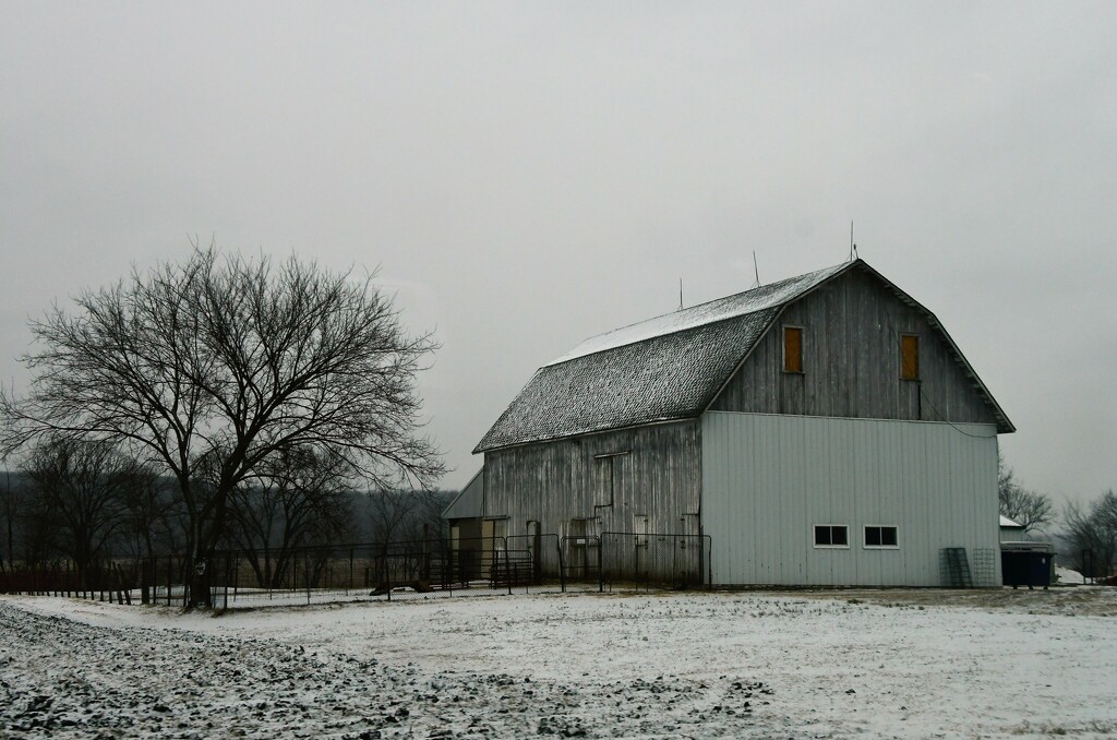White Barn in Snow by kareenking